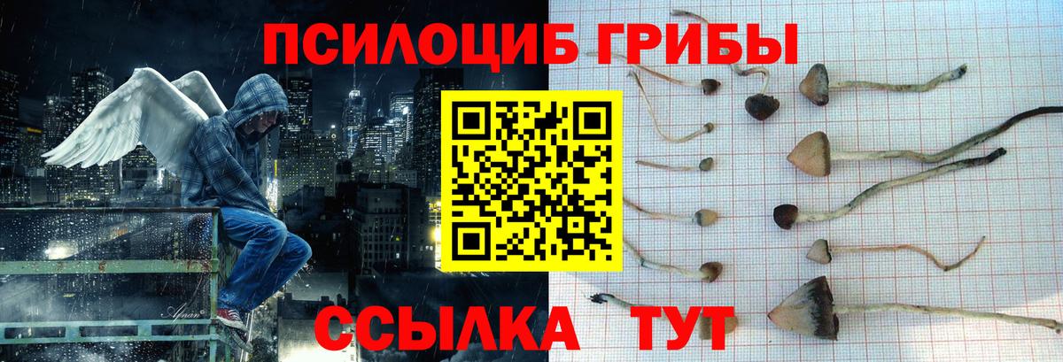 Альметьевск  Псилоцибиновые грибы прущие грибы  Вход с VPN 